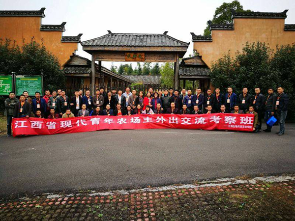 点击浏览下一页